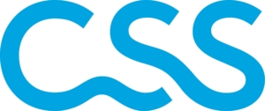 css-logo-2